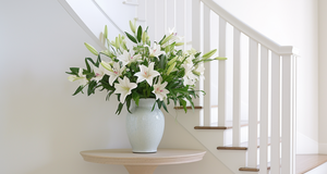 Elevating Spaces with Lily Arrangements