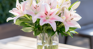 The Basics of Lily Care in Floral Design